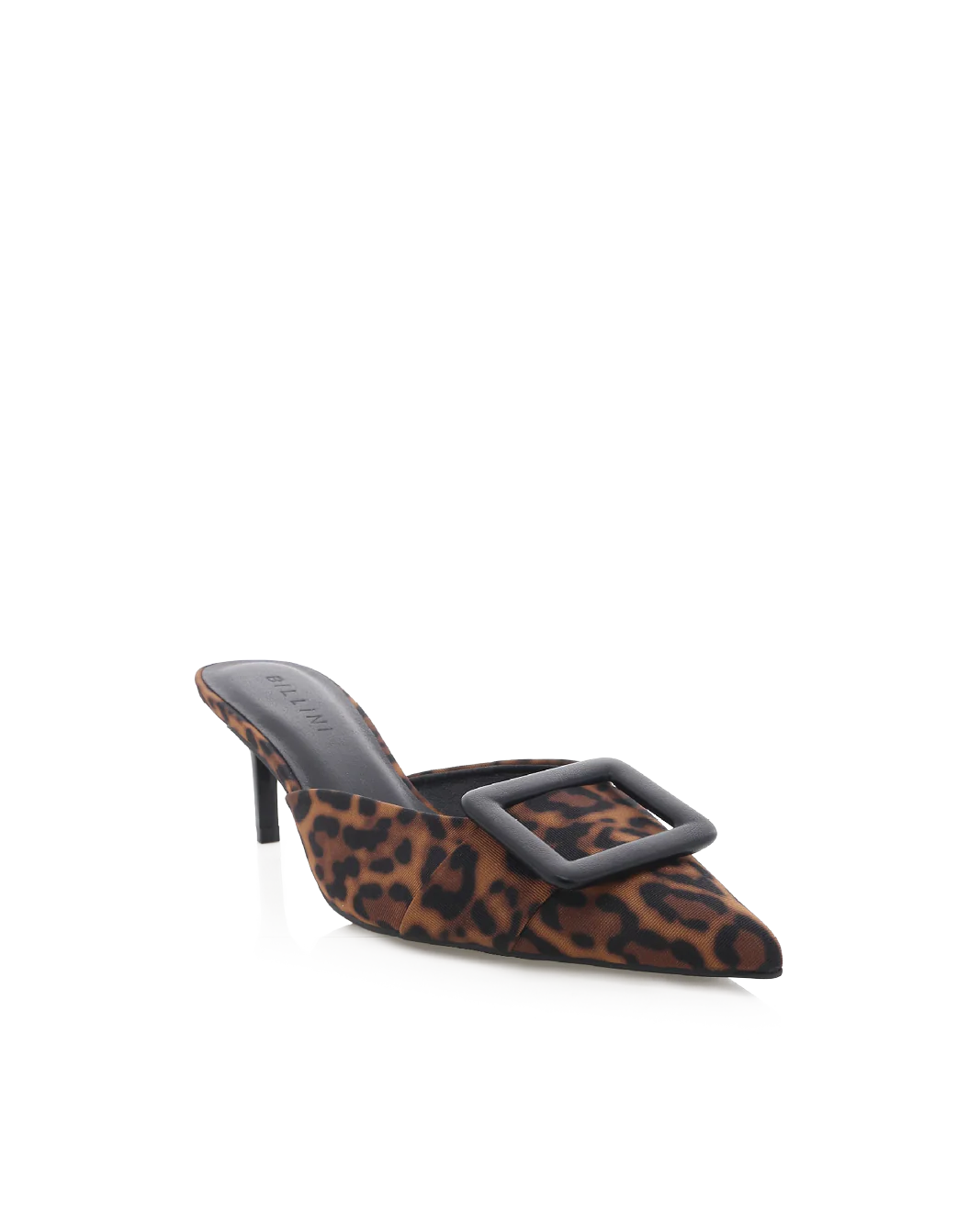YORKIE - LEOPARD - Image 3